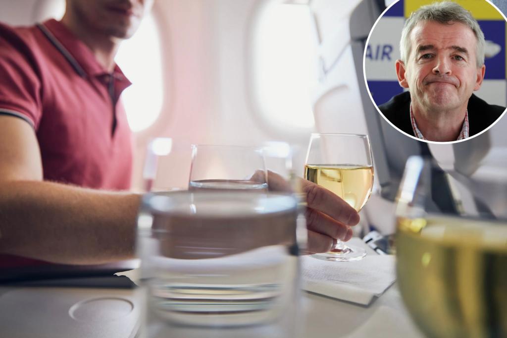 Passengers criticize airline CEO's proposal to ban fliers from boarding if they've had more than 2 drinks: 'Don't you dare'