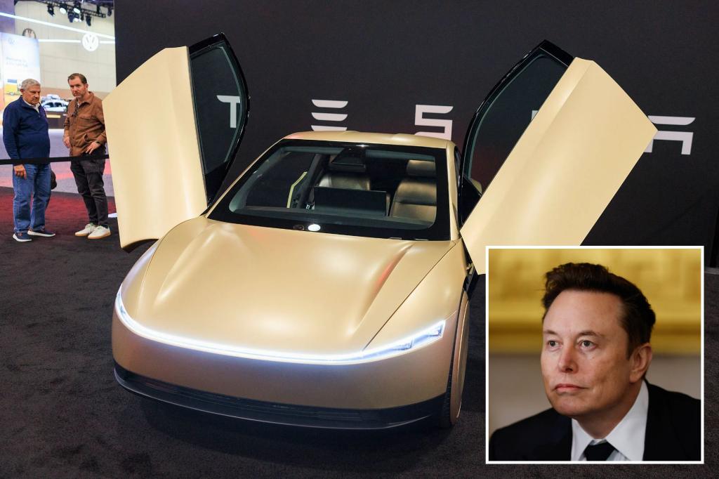 Tesla's sales disappoint, but Elon Musk vows new cars 'will be in nature, with anyone in them'